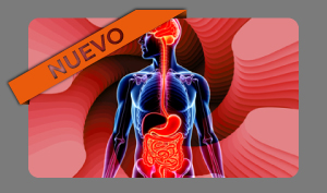 Curso de Microbiota. Actualización 2025