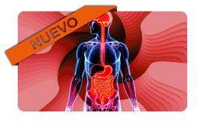 Curso de Microbiota. Actualización 2025